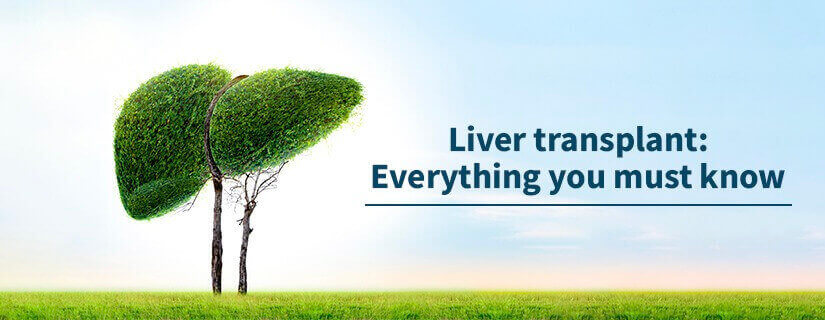 Liver transplant: Everything you must know