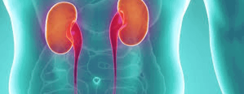 3 Easy Tips To Prevent Kidney Diseases in Diabetes