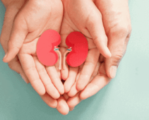 How to take care of yourself after a Kidney Transplant