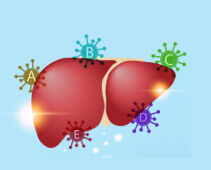 types of hepatitis
