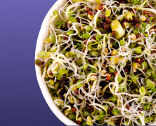 Benefits of Sprouts