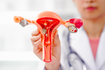 Fibroid & Uterine Health Screening Package in Outpatient Centre, Banjara Hills