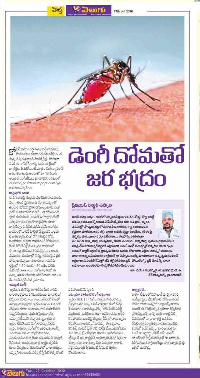 Article on Dengue Diseases
