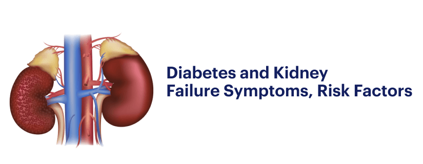 Know How Diabetes Leads to Kidney Failure