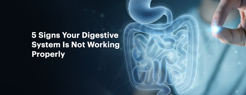 5 Signs Your Digestive System Isn't Working Properly