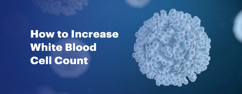 How to Increase White Blood Cell Count	