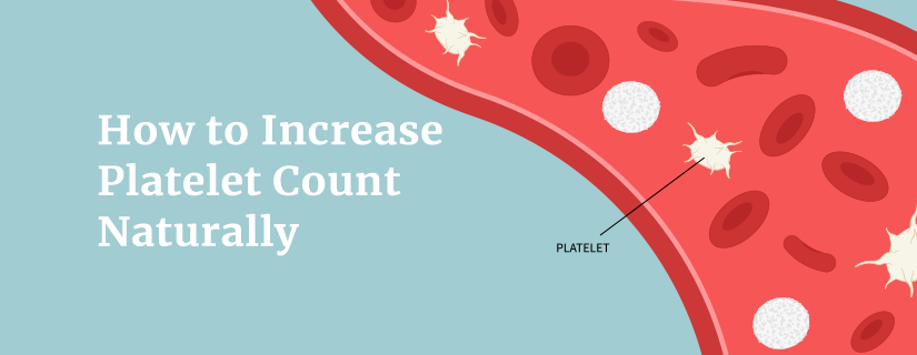 How to Increase Platelet Count Naturally