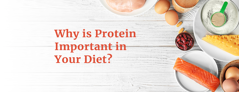 Why is Protein Important in Your Diet?