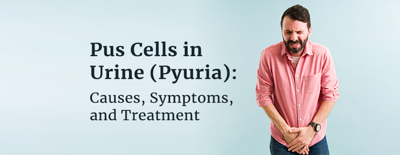 Understanding Pus Cells in Urine (Pyuria): Causes, Symptoms, and Treatment	