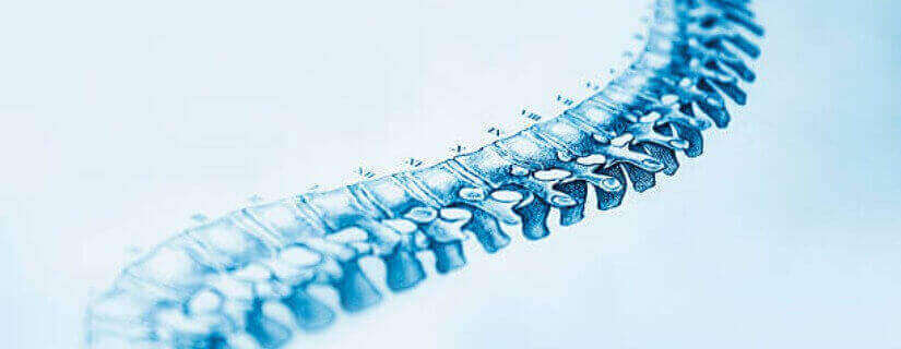 Common Spine Problems and Their Treatment Options