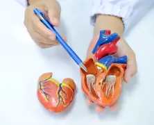 Triple Vessel Disease