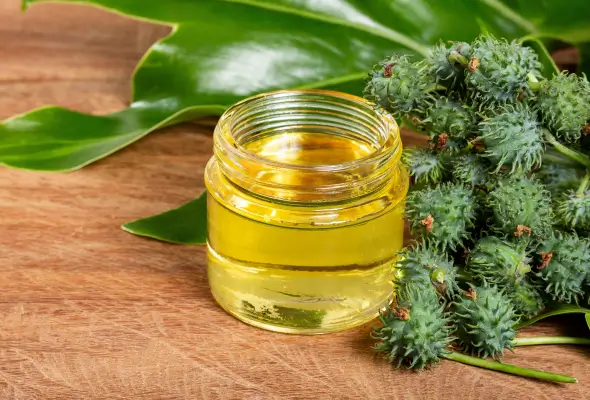 15 Health Benefits of Castor Oil and its Nutritional Facts