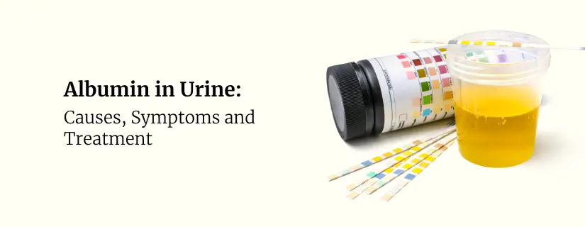 Albumin in Urine